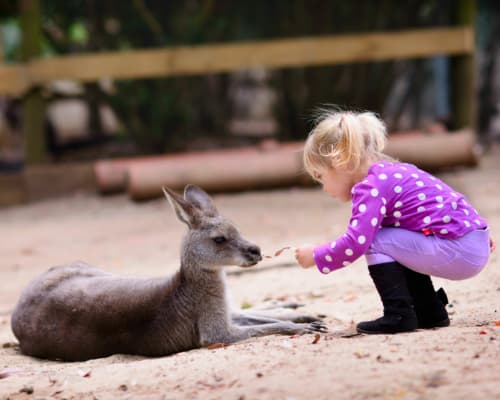 maroochydore-accommodation-location13