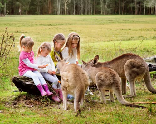 maroochydore-accommodation-location9